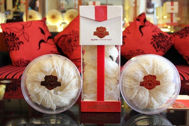 mua yến sào ở đâu hà nội