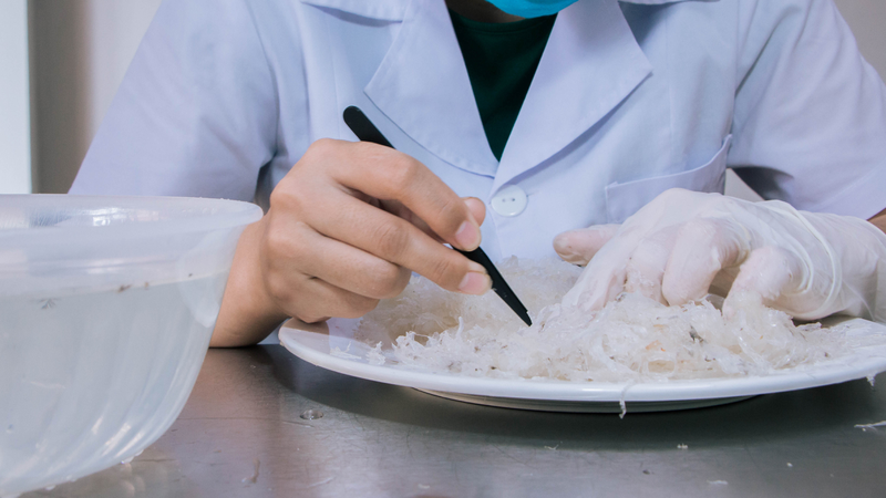 Cách chế biến yến sào​ đảm bảo giữ nguyên các chất dinh dưỡng 2