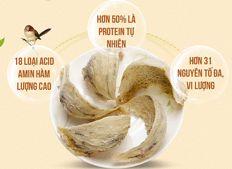 GIÁ TRỊ DINH DƯỠNG CỦA YẾN SÀO - Yến Sào Trí Việt