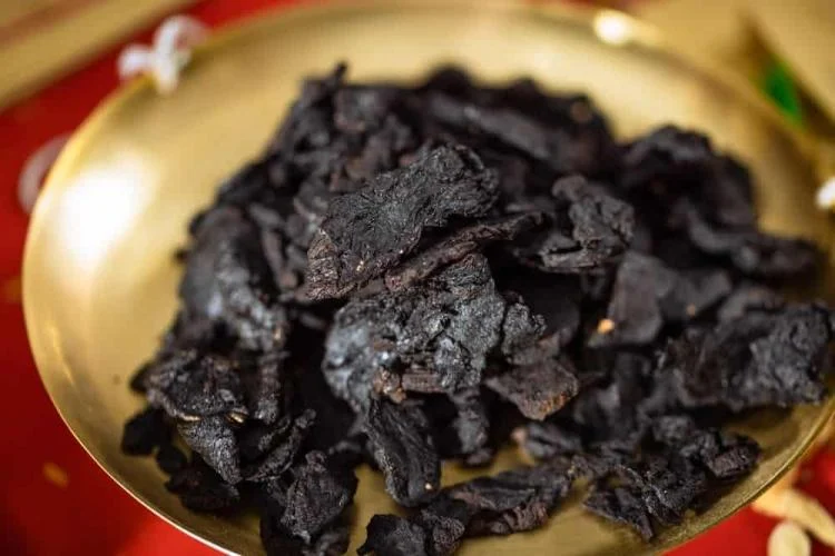 Vị thuốc thục địa bổ thận, dưỡng huyết, tăng cường sinh lực | NHADATDANANG.COM